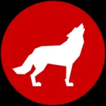 NC State University