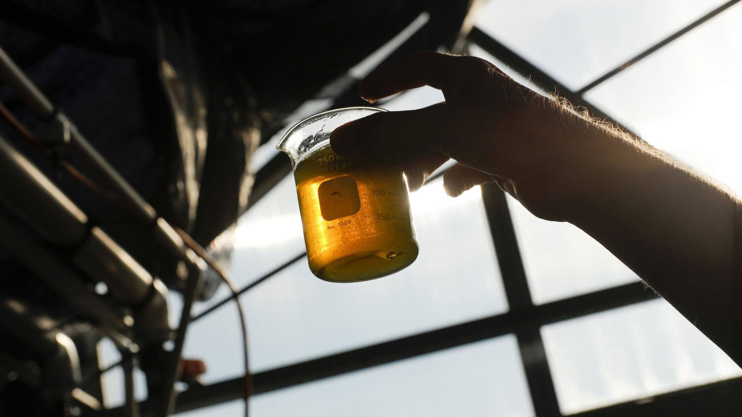 Person holding beaker of honey against light for inspection