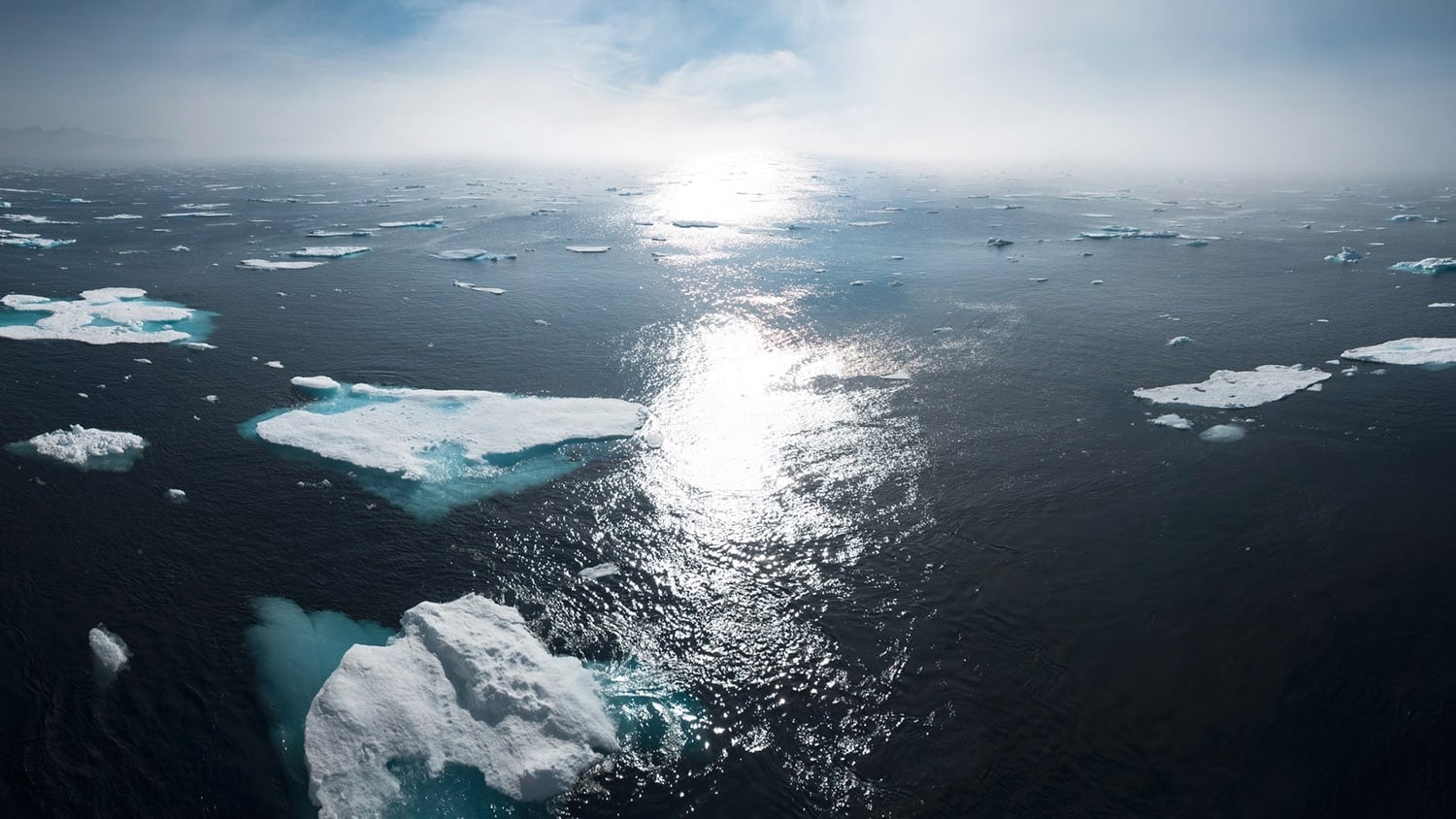 icebergs in water