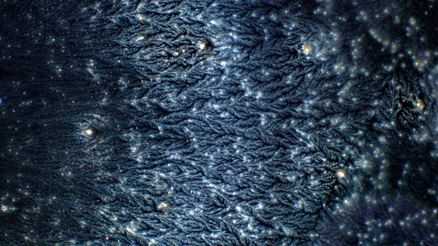 blue-ish white dots and lines against a black backdrop resemble a night sky, but are actually a microscopic image of salt crystals and a fluorescently labeled virus